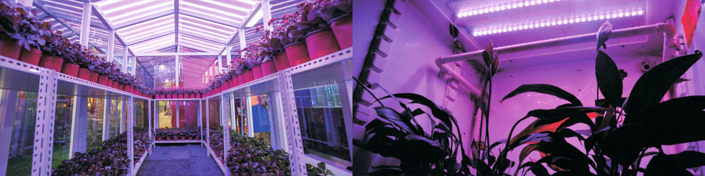 202210181916.jpg z1.jpg