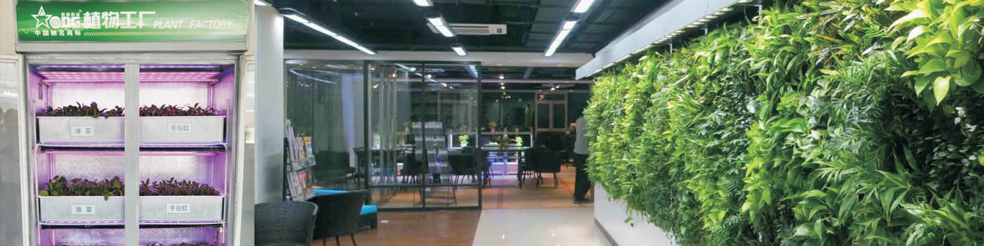 202210185800.jpg z2.jpg