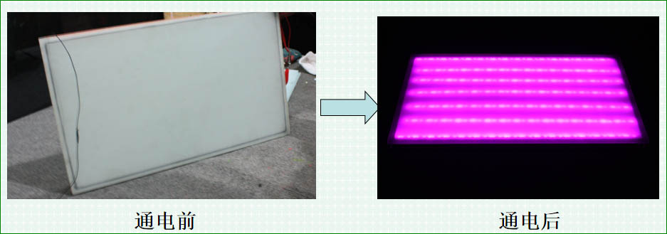 202210312769.jpg t1.jpg